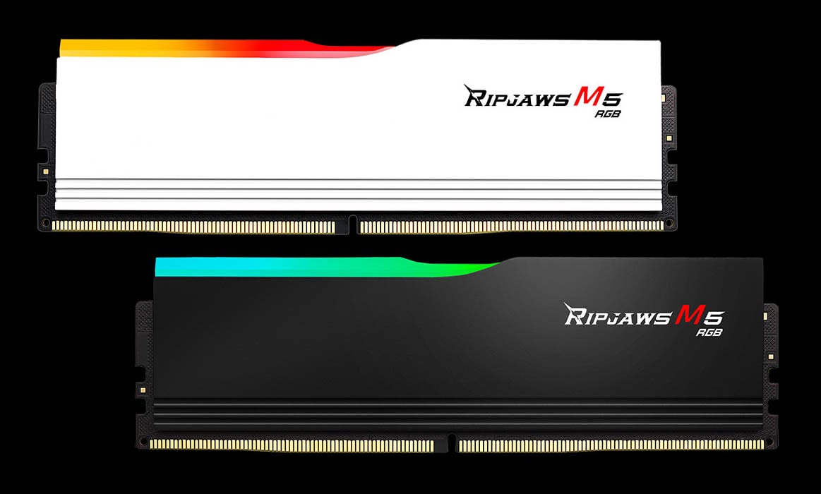 ハジクォス G.SKILL Ripjaws M5 RGB Series 64GB (2 x 32GB) 288-Pin PC RAM